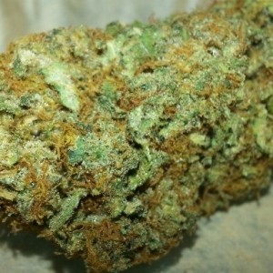 Buy Cinderella 99 Online