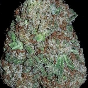 Buy AK-47 Online