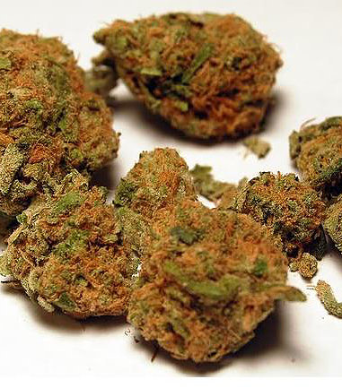 Buy Orange kush Online