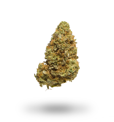 Buy Bruce Banner Online