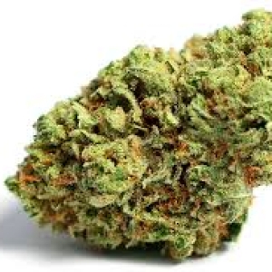 Buy Gorilla glue #4